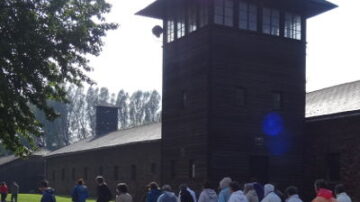 Auschwitz 400x400