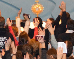Le blog DSC 0225 253x253