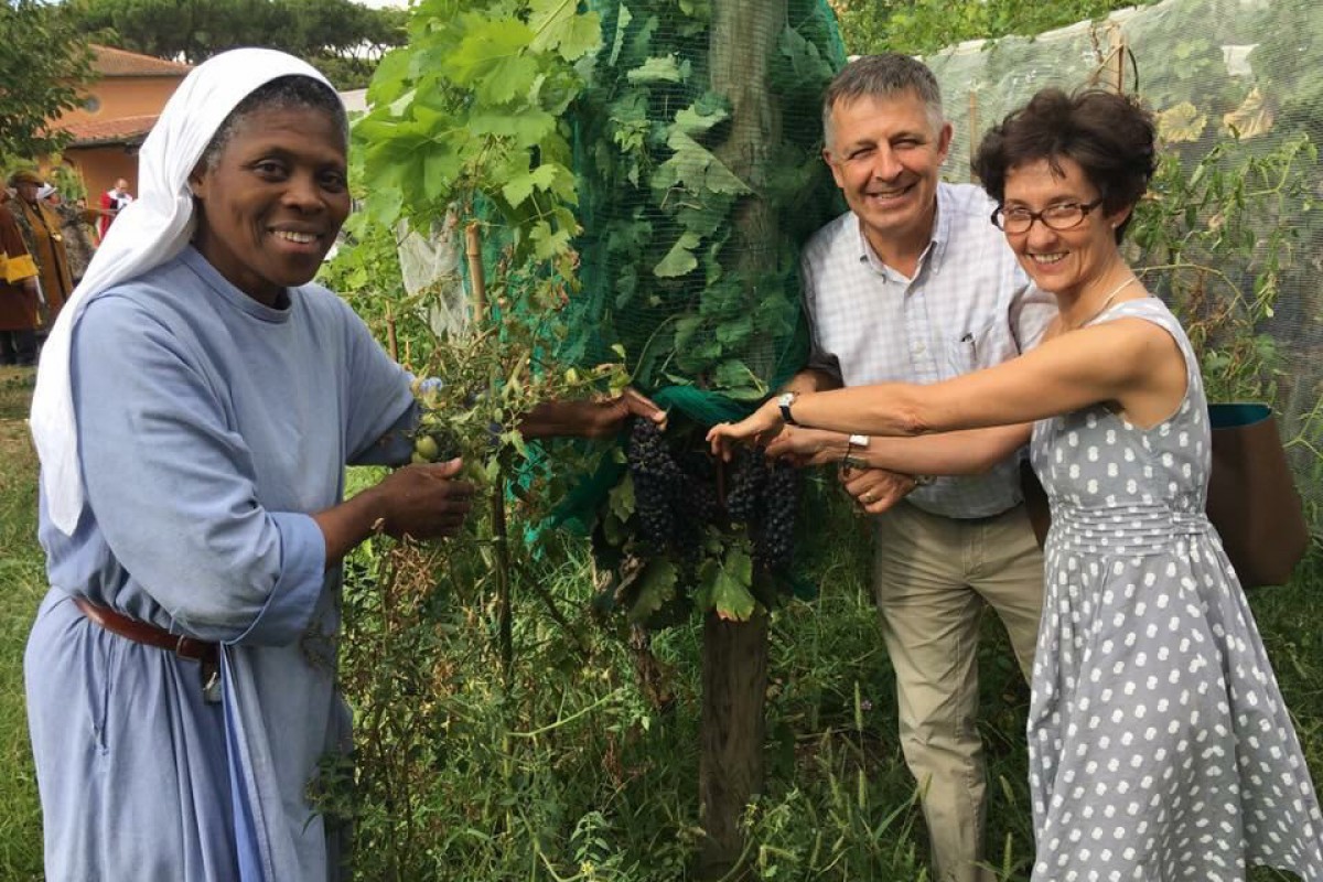 3 mois de mission à la Trinité-des-Monts Avec les sœurs des Fraternités Monastiques de Jérusalem, la passation commence par les vendanges.