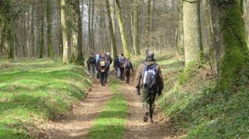 marche foret Orval saint Joseph 1