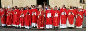 Ordonnés prêtres en juin 2017 : les images Ordinations Bordeaux 3