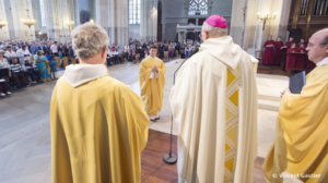 Ordonnés prêtres en juin 2017 : les images Siboulet ordination
