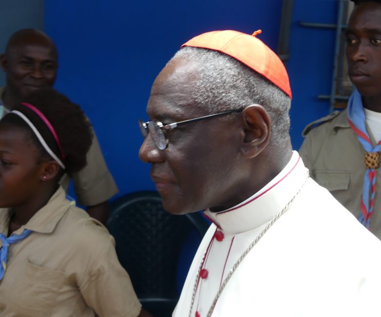 Guinée : le dispensaire Saint Gabriel fête ses 30 ans avec le Cardinal Sarah - reportage 332