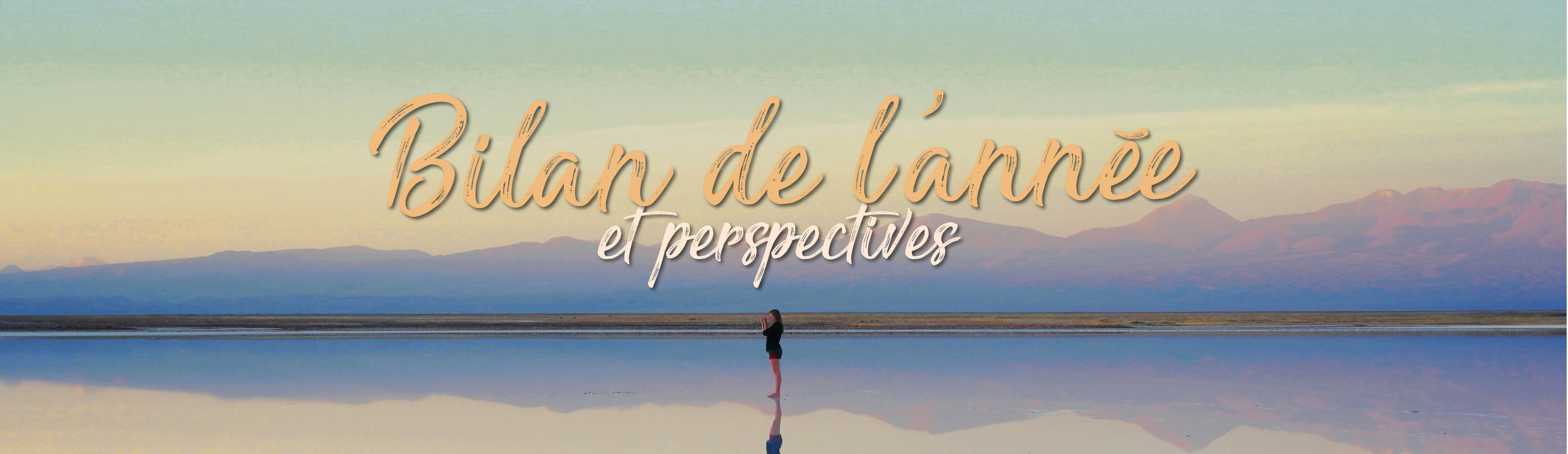 Année Mariale - Marian Year - Año Mariano Bilan 1