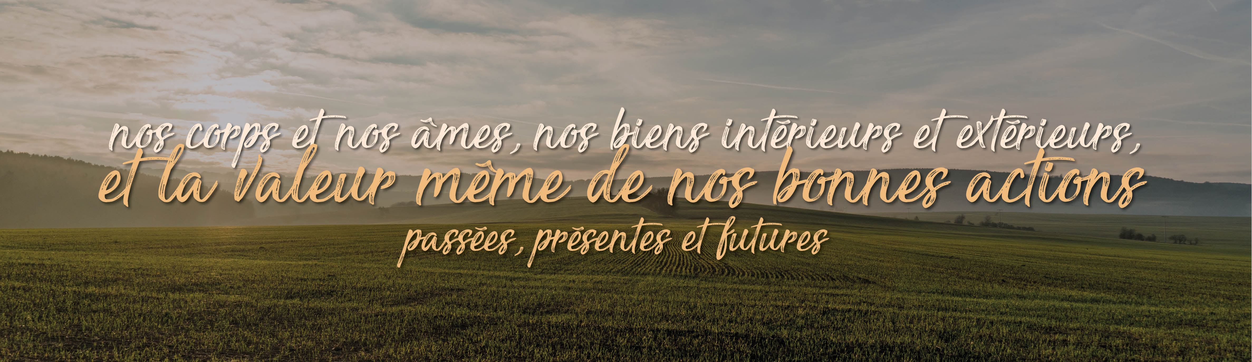 Année Mariale - Marian Year - Año Mariano Nos corps et nos ames