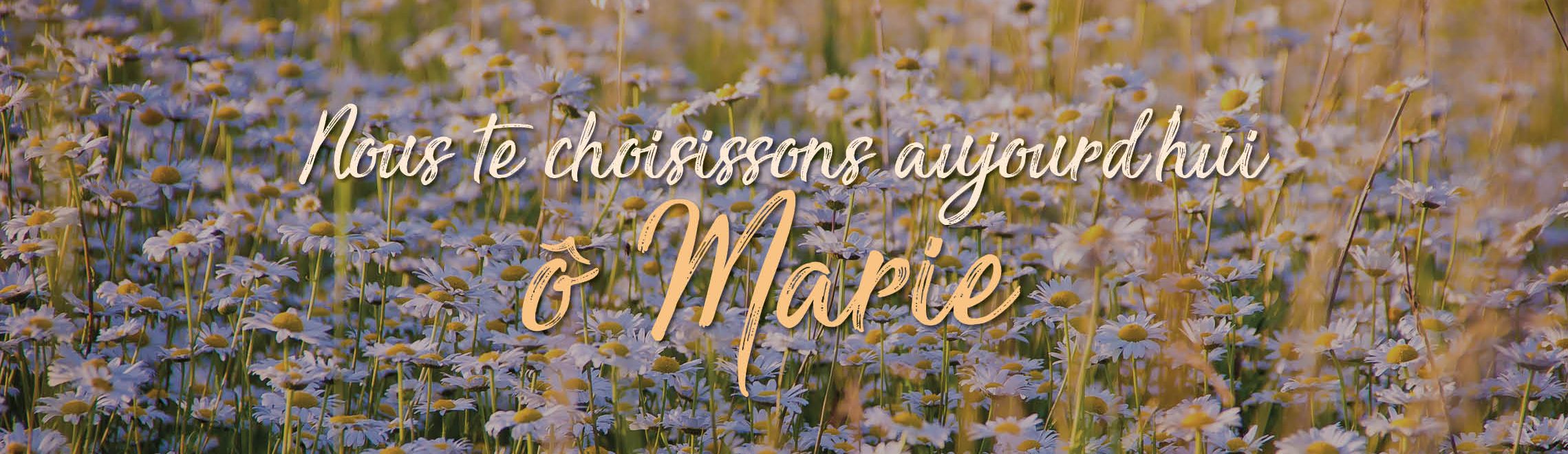Année Mariale - Marian Year - Año Mariano Nous te choisissons 1 e1504614400141