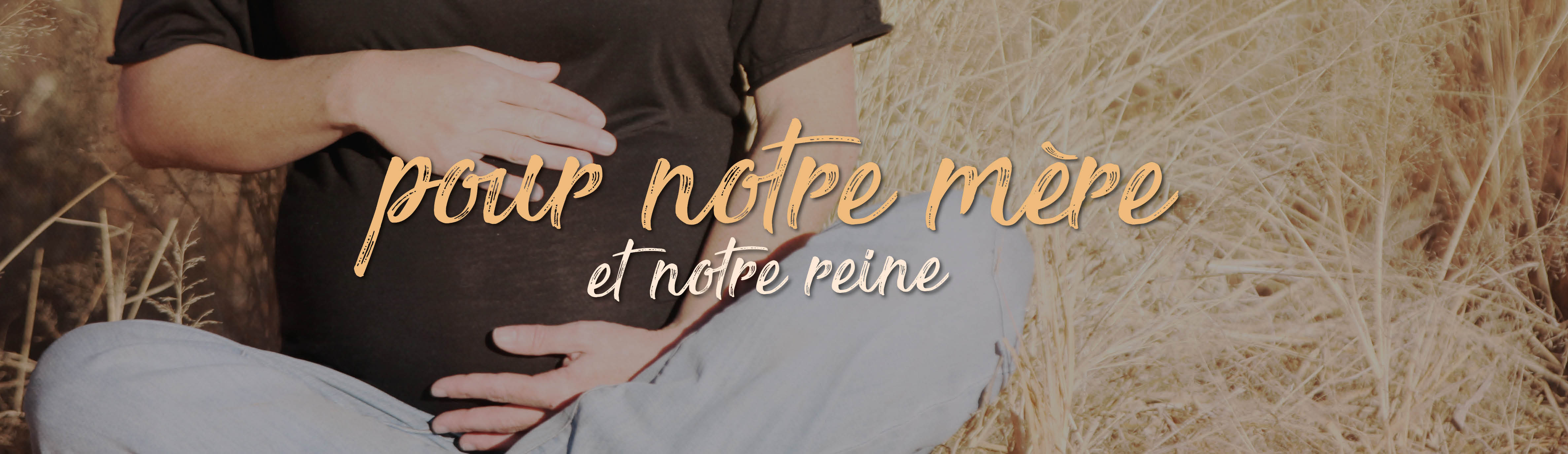 Année Mariale - Marian Year - Año Mariano Pour notre mere