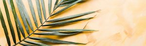 Pâques avec l'Emmanuel à Rome, Paray, Altötting ou L'Ile Bouchard Palme