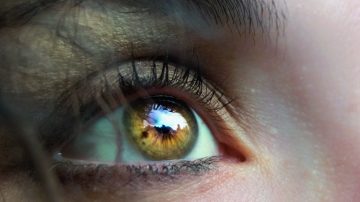 Le blog Oeil IEV