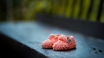 Le blog janko ferlic 478394 unsplash