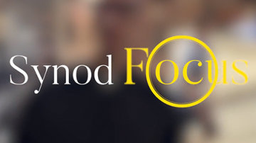 Le blog Vignette Synodfocus