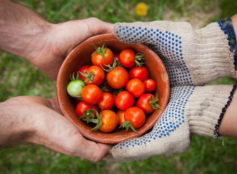 10 idées pour vivre l'Avent plus sobrement elaine casap 86020 unsplash