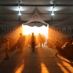 Sessions d'été 2019, comment choisir ? 3V8B5401