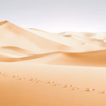 40 jours dans le désert - un témoignage pour le carême vignette grande desert t
