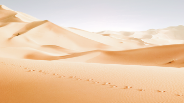 vignette grande desert t