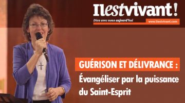 Le blog Vignette Healy IEV grande