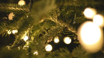 Suggestions de chants pour l'Avent avent noel sapin lumiere christian wiediger byo4ShQrpI unsplash