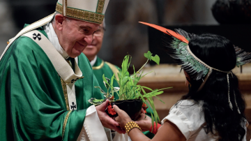 Le blog Vignette Querida Amazonia