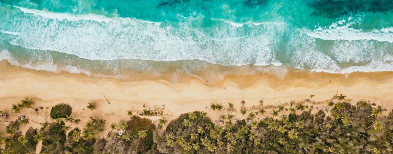 Augustin, saint et docteur de l'action de grâce lalo hernandez LSaWlsj1IaQ unsplash