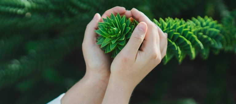 Les beaux fruits de l'arbre de gratitude yavor punchev iSHwa3EaMlo unsplash