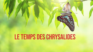 Vignette chrysalide laudato si Trinite