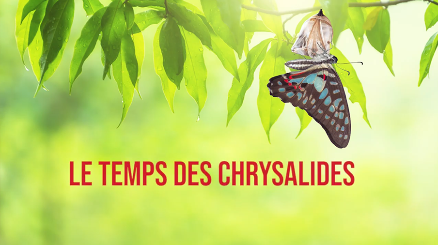 Vivre ma foi en ce temps de confinement Vignette chrysalide laudato si Trinite