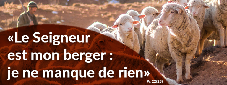 "Si je traverse les ravins de la mort, je ne crains aucun mal" : témoignage d'un malade du Covid 19 Bandeau Seigneur berger
