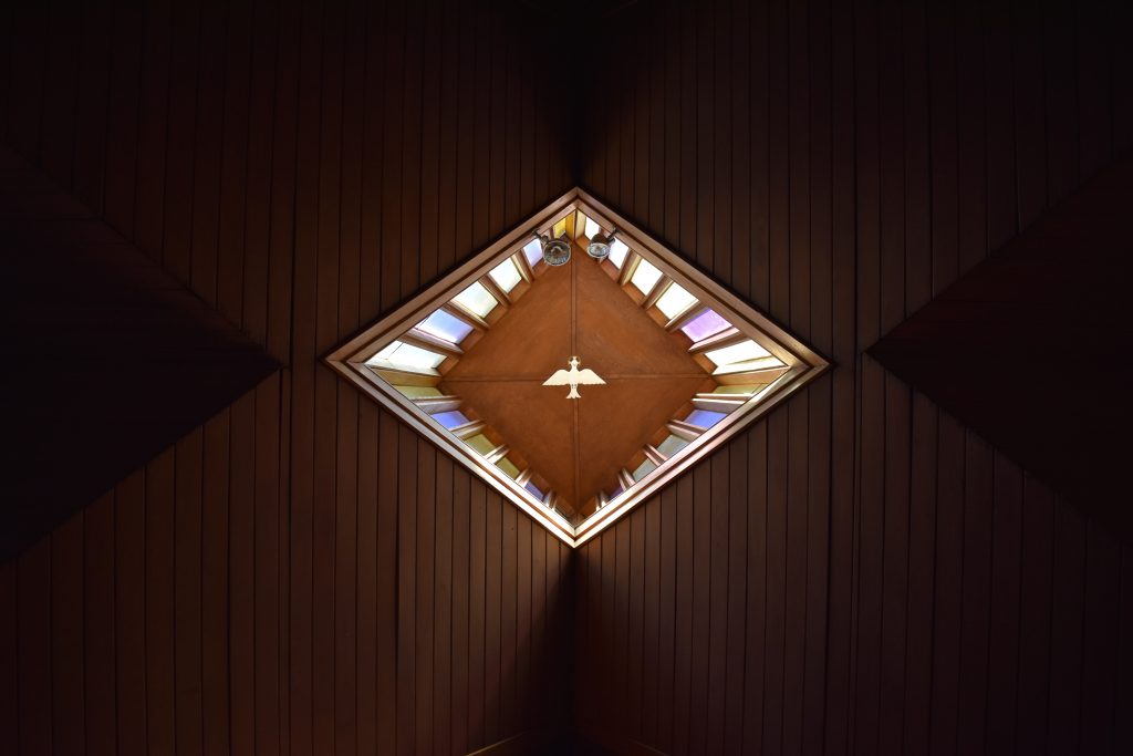 joshua eckstein BvPKYUViwwQ unsplash