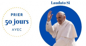 Laudato si : le pape s'adresse à un groupe de français DD LS 2