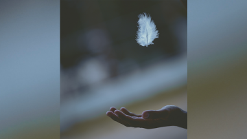 Le blog Vignette virile douceur Optimum