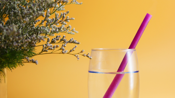 Laudato si, un nouvel art de vivre ? Vignette verre paille plante