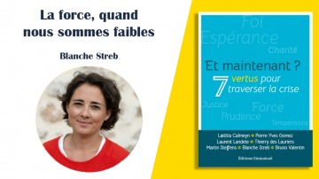 Vignette Blanche Streb 7 vertus