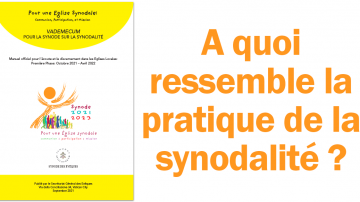 Le blog Vignette Facebook attitudes synode