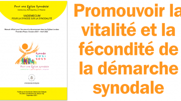 Le blog Vignette Facebook synode erreurs