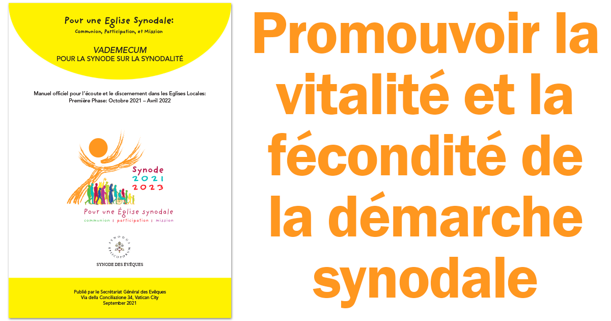 Synodalité, construire une Eglise différente Vignette Facebook synode erreurs