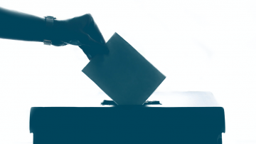 Vignette Facebook democratie vote IEV353