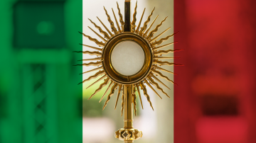 Le blog Vignette Facebook Italie ostensoir