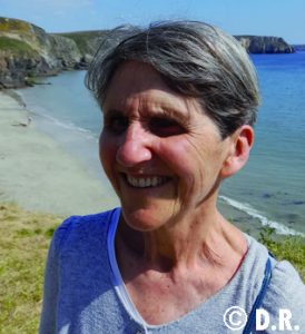 L’apport du Renouveau charismatique : une diversité réconciliée D Caudal IEV356