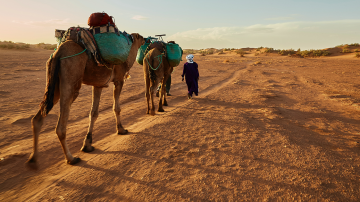 Vignette Facebook chameaux desert avent