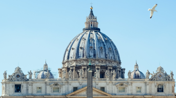 Le blog Vignette Facebook Vatican oiseau