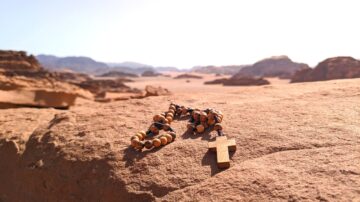 Agenda Vignette site retraite sinai 2024