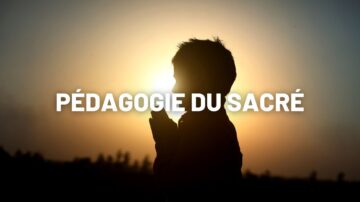 Le blog Vignette site et FB Flore 1