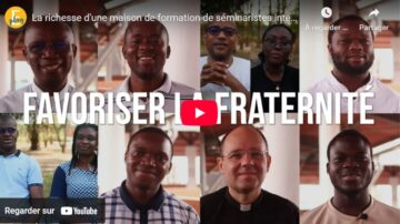 Afrique Vignette NL MSJA