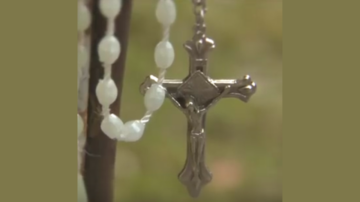 Le blog Rosaire 1 1